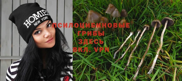 тгк Россошь