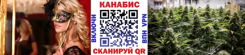 Марихуана планчик  omg рабочий сайт  Зеленодольск 